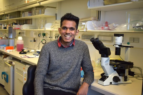 Portrait picture of Jomy Kuruvila
